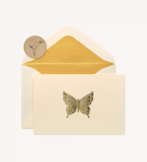 Blank Cards with Envelopes